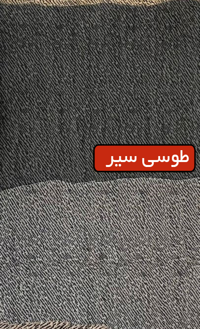 یامور طوسی سیر