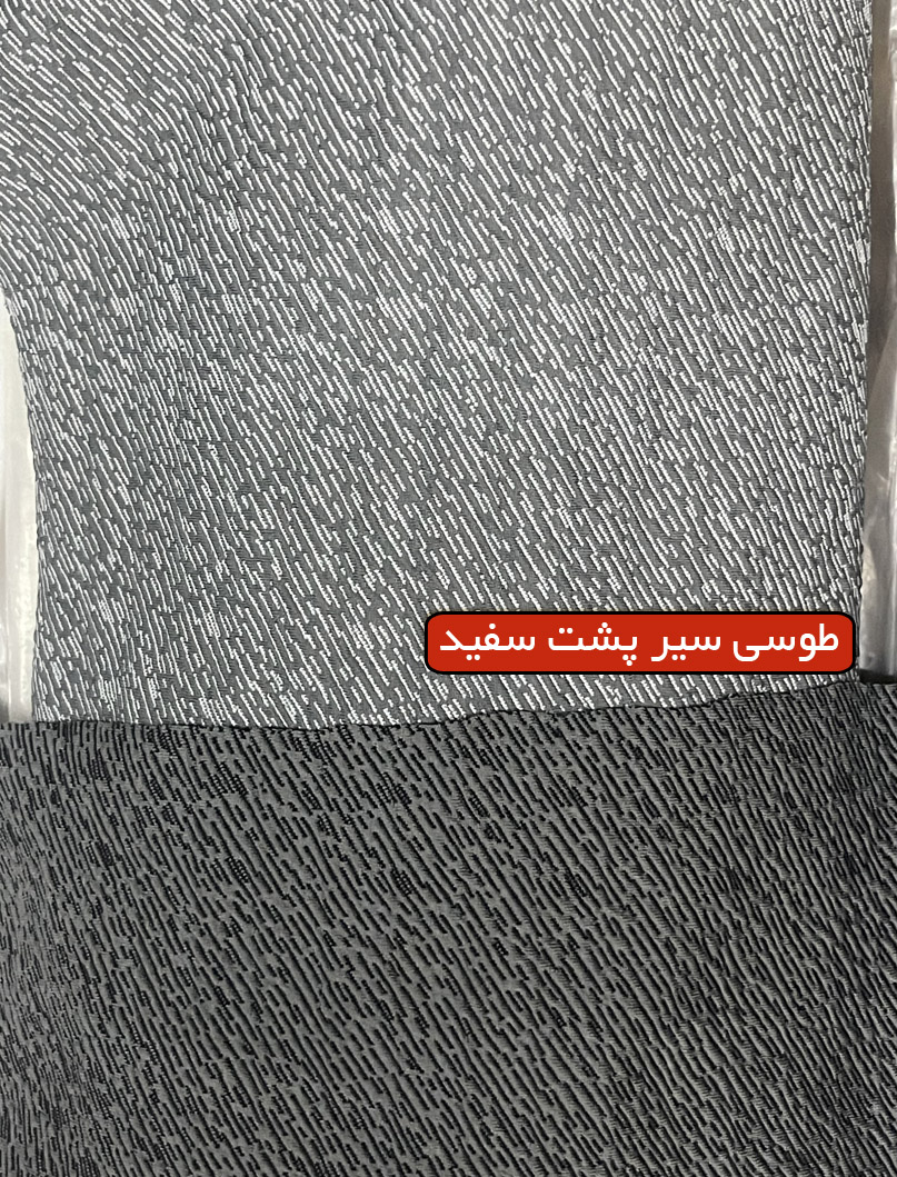 یامور طوسی سیر پشت سفید